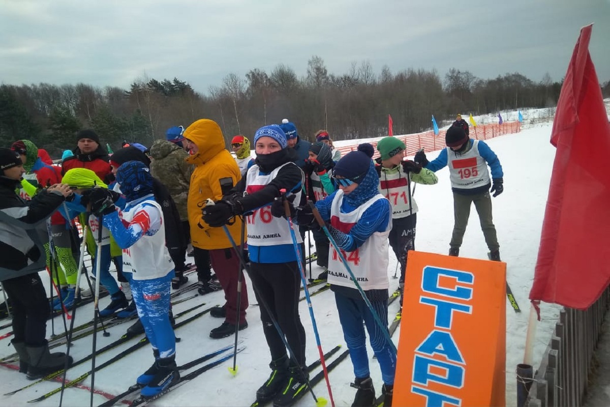 Ветераны лыжного спорта Псковской области